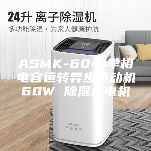 ASMK-60-4單相電容運(yùn)轉(zhuǎn)異步電動機(jī)60W 除濕機(jī)電機(jī)