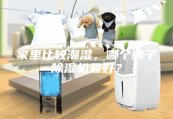家里比較潮濕，哪個牌子除濕機最好？