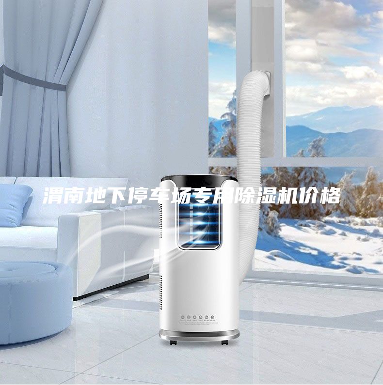 渭南地下停車場(chǎng)專用除濕機(jī)價(jià)格