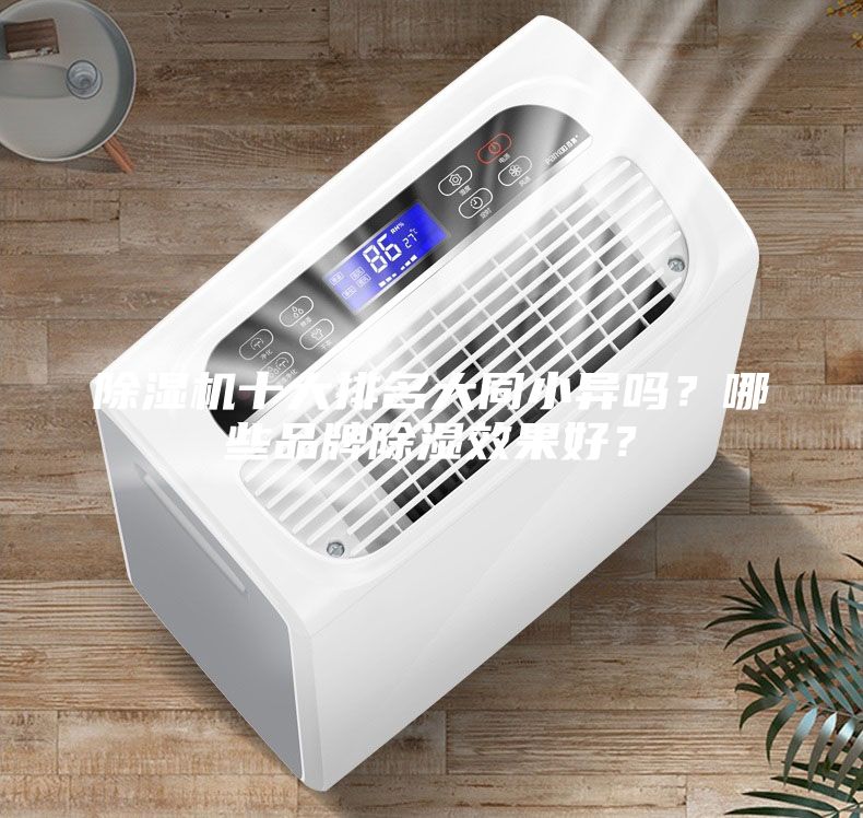 除濕機十大排名大同小異嗎？哪些品牌除濕效果好？