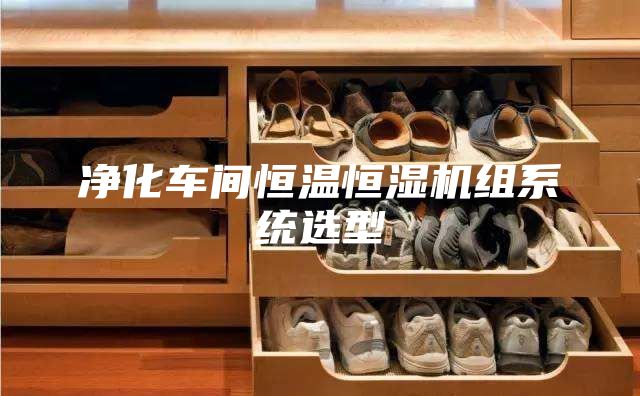 凈化車(chē)間恒溫恒濕機(jī)組系統(tǒng)選型