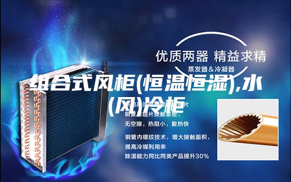組合式風柜(恒溫恒濕),水(風)冷柜