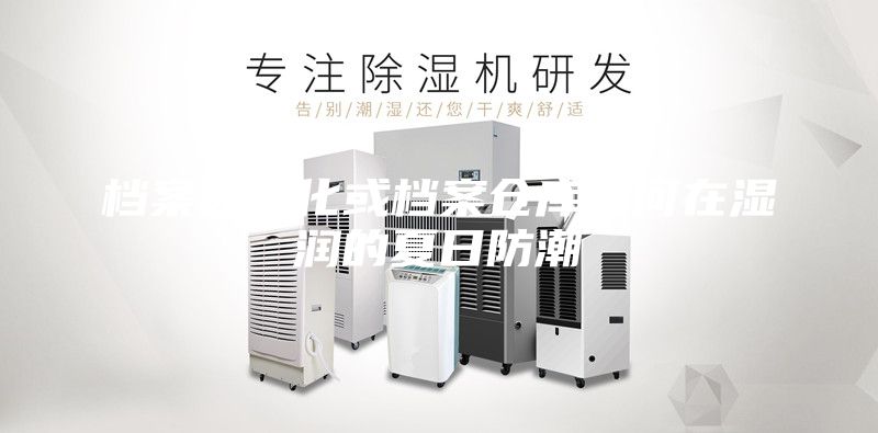 檔案數字化或檔案倉庫如何在濕潤的夏日防潮