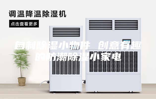 自制除濕小物件 創意有趣的防潮除濕小家電
