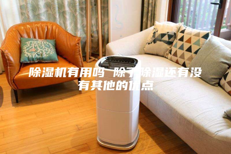 除濕機有用嗎 除了除濕還有沒有其他的優(yōu)點