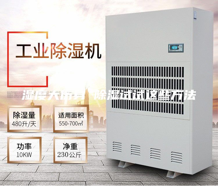 濕度大傷身 除濕試試這些方法