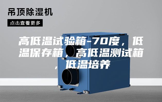 高低溫試驗(yàn)箱-70度，低溫保存箱，高低溫測(cè)試箱，低溫培養(yǎng)