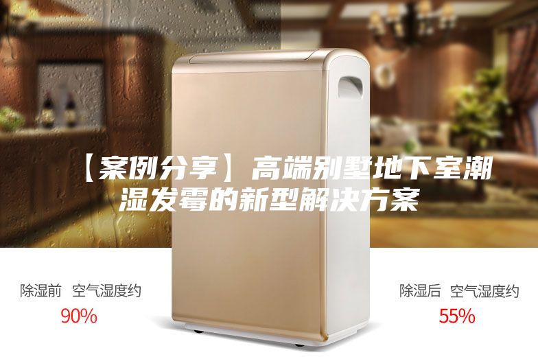 【案例分享】高端別墅地下室潮濕發霉的新型解決方案